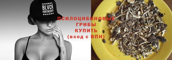 дживик Алексин
