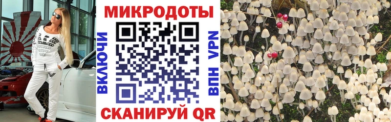 гидра рабочий сайт  Юрьев-Польский  Псилоцибиновые грибы MAGIC MUSHROOMS  даркнет сайт 